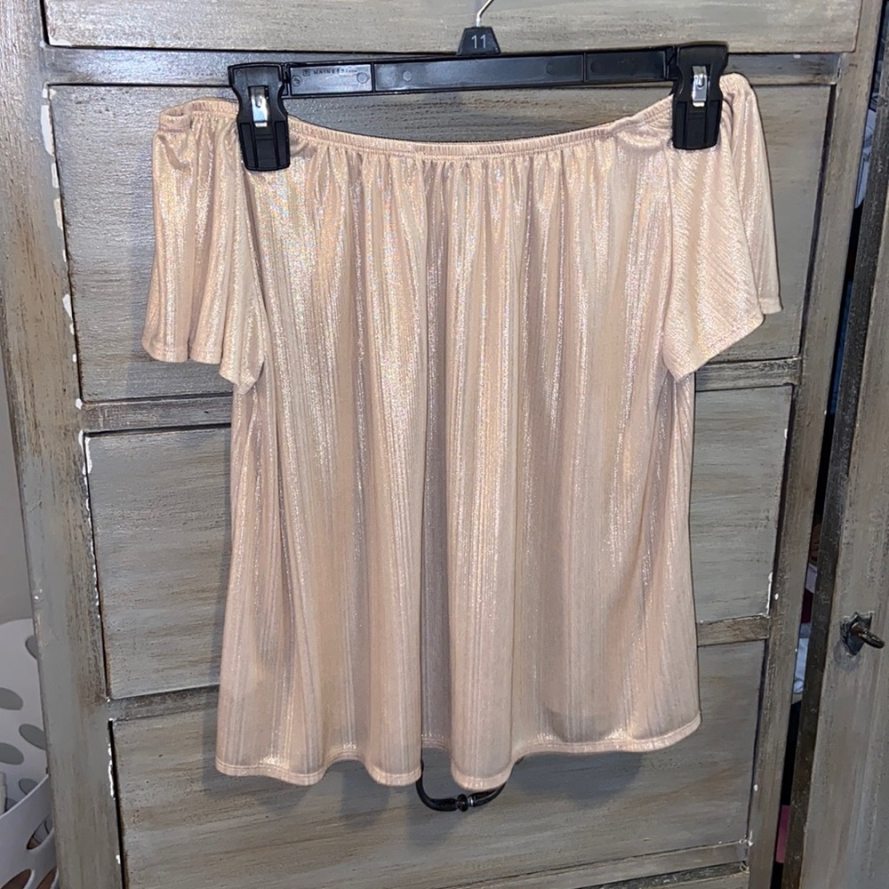 Shimmery Off the Shoulder Blouse
